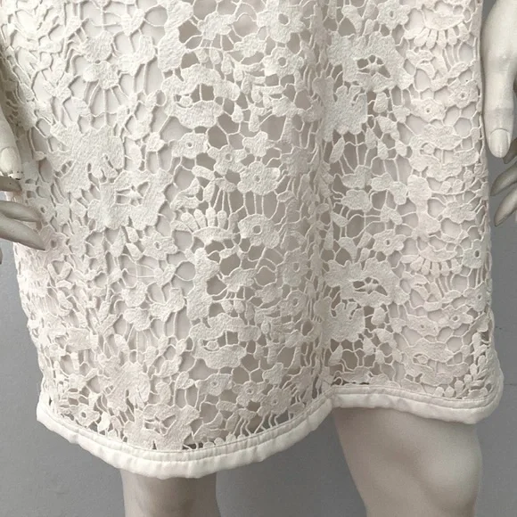 Ann Taylor Lace Dress - Picture 4 of 6